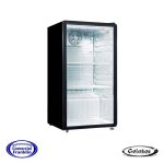 Visicooler 100 Lts. Gelator