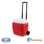 Cooler Nevera 18 lts. Gastromaq