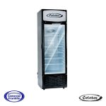 Visicooler 400 Lts. Gelator