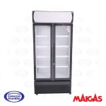 Visicooler 600 Lts. Maigas